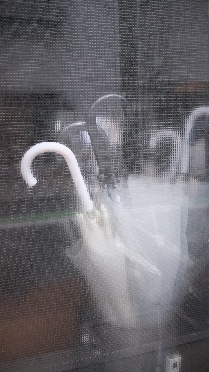 umbrellas seen trough window of a house