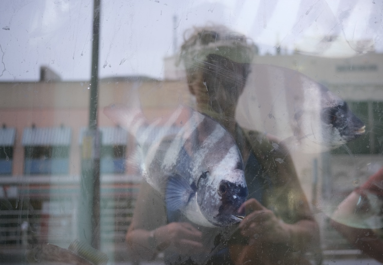 selfportrait in the reflection of an aquarium