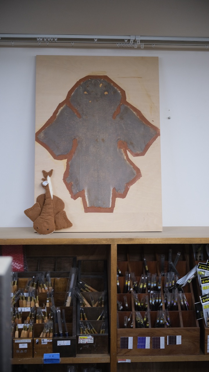 sharkskin hanging on the wall of the shop